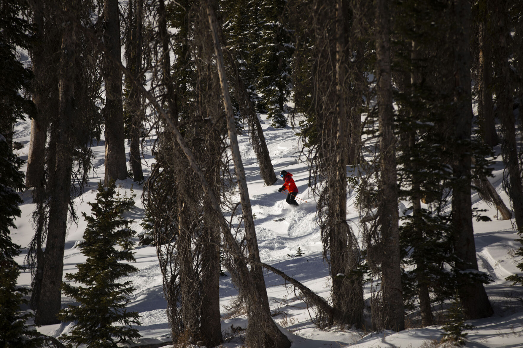 102920-news-skiing-dg 07.jpg
